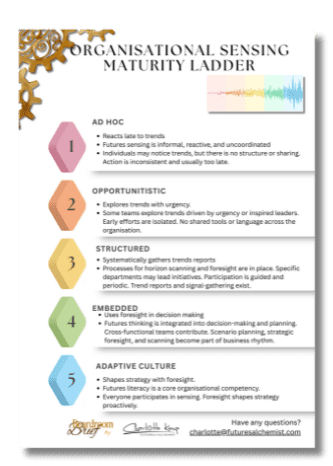 Organisational Sensing Maturity Ladder