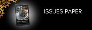 Issues Paper